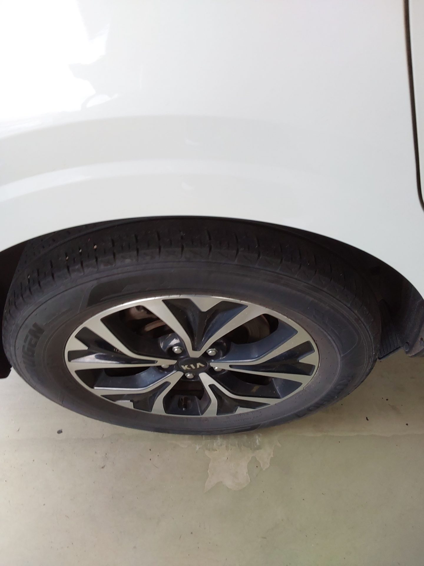 2021 - kia carnival