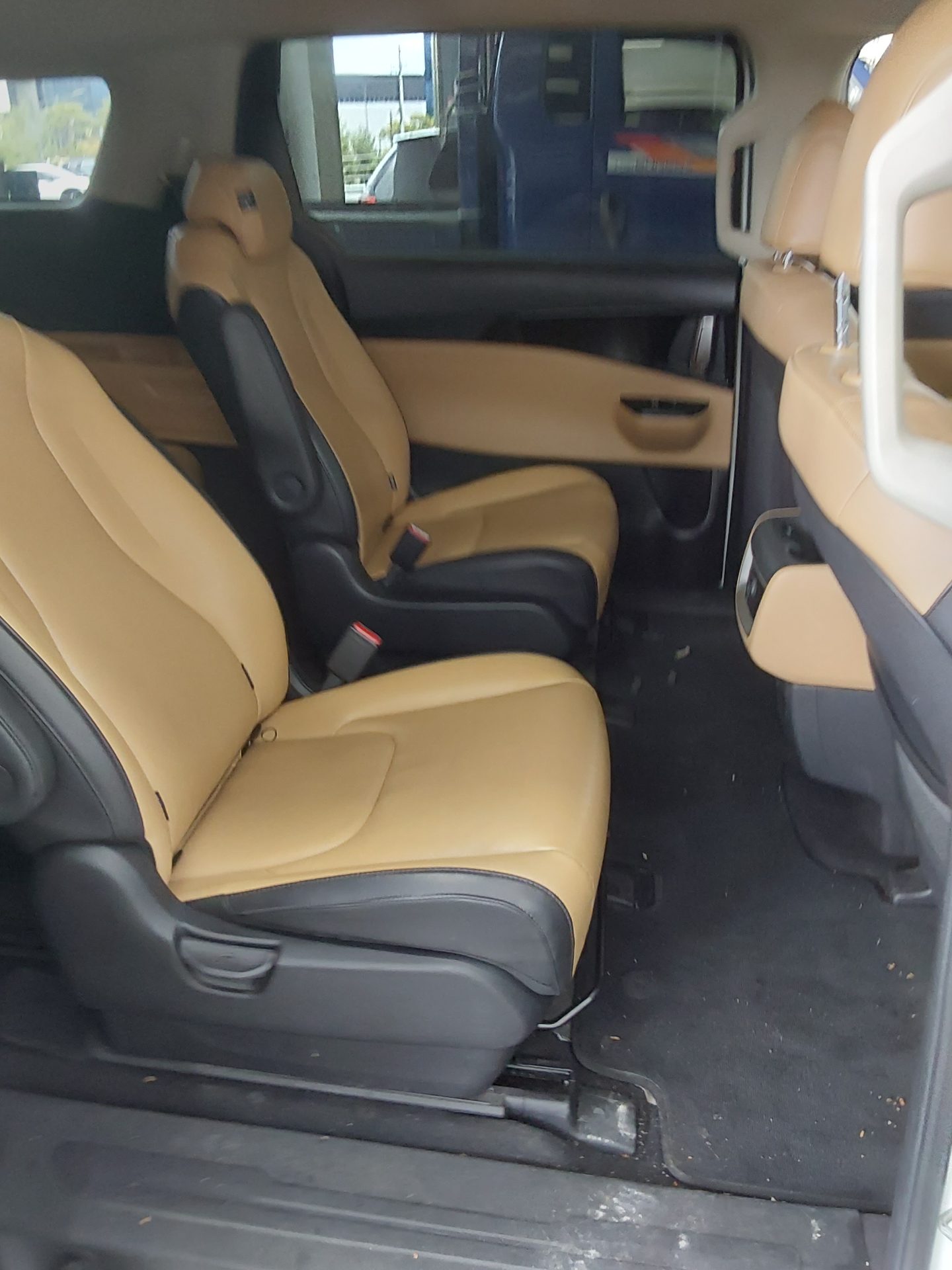 2021 - kia carnival