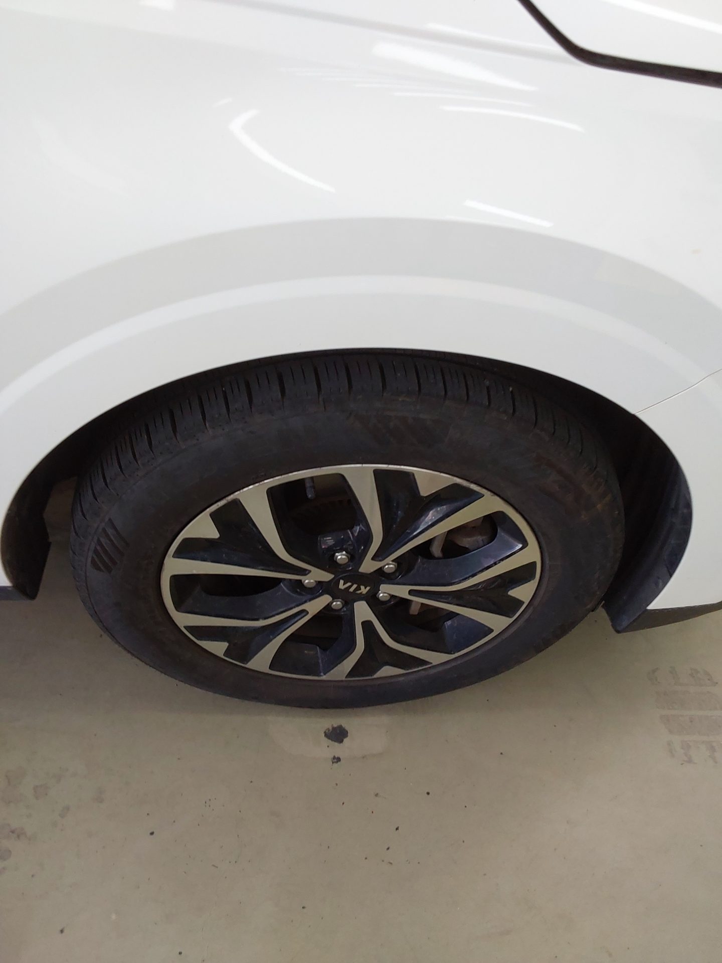 2021 - kia carnival