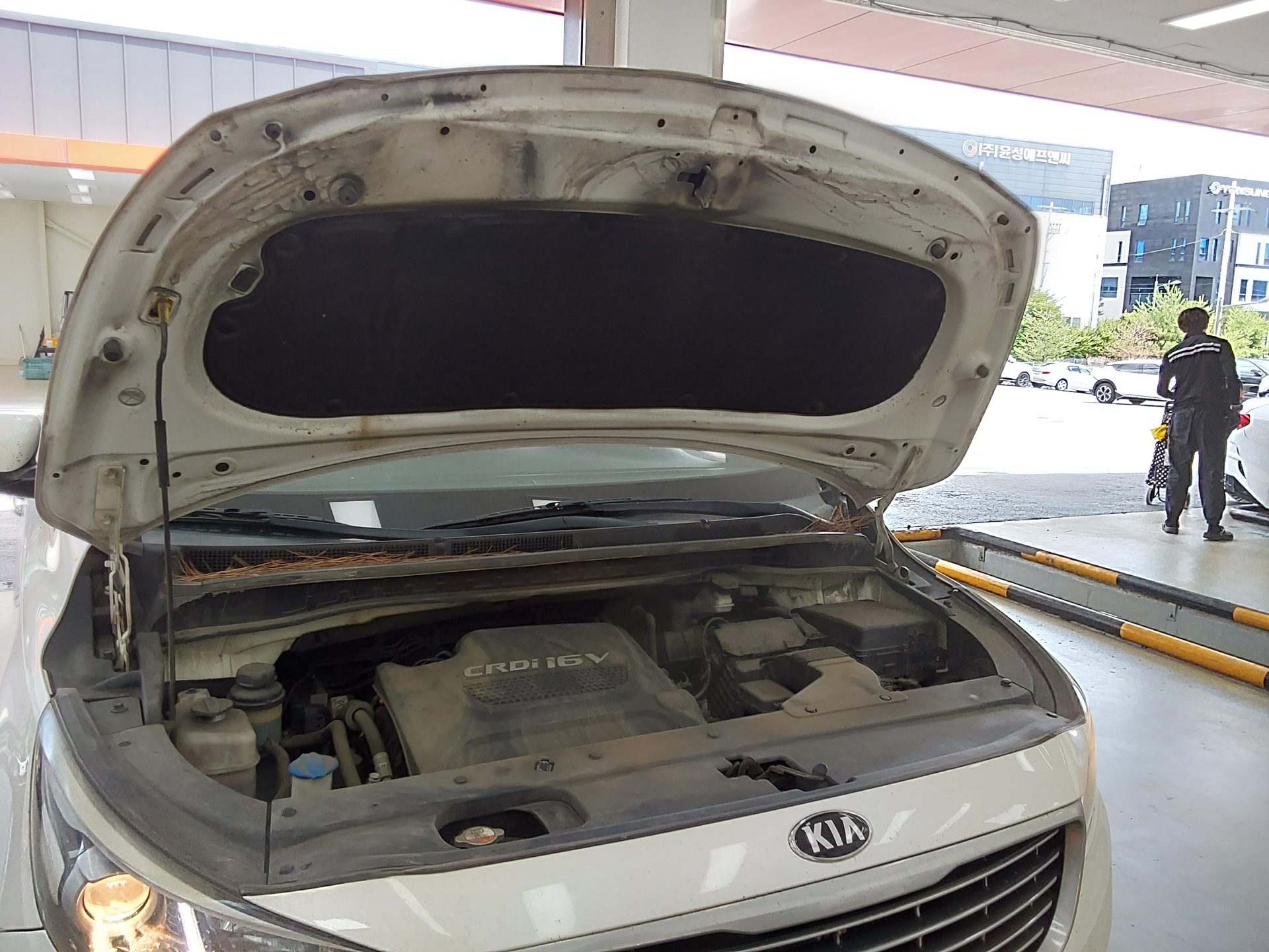2015 - kia carnival