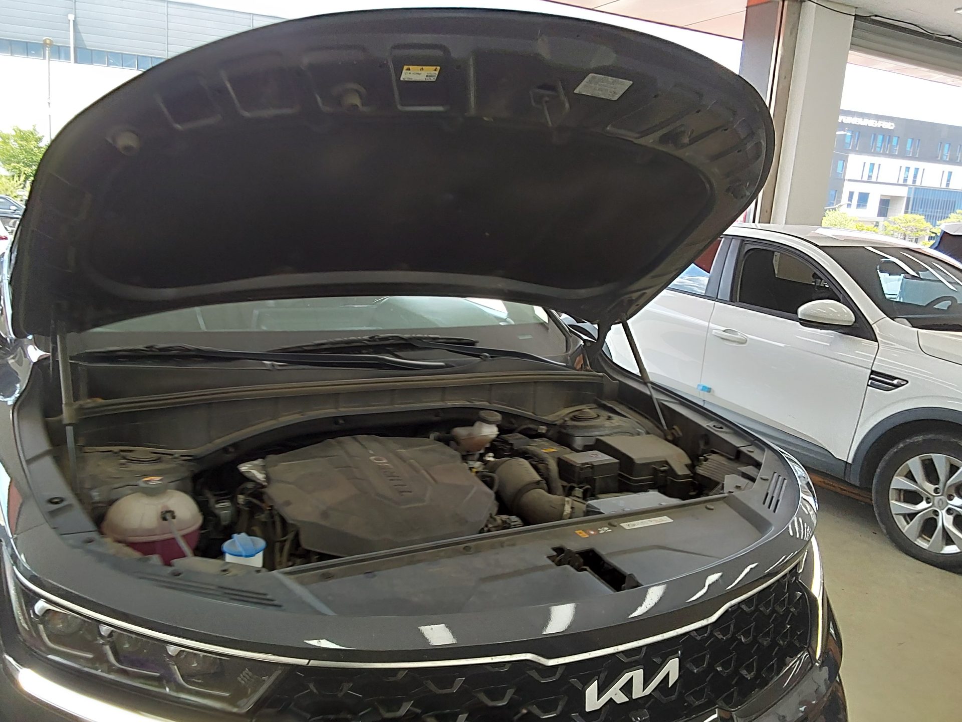 2023 - kia sorento