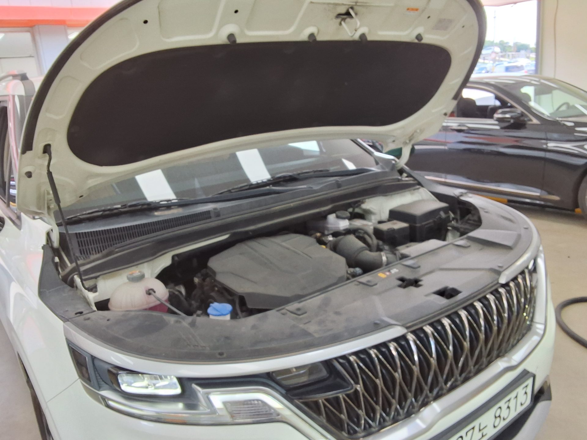 2021 - kia carnival