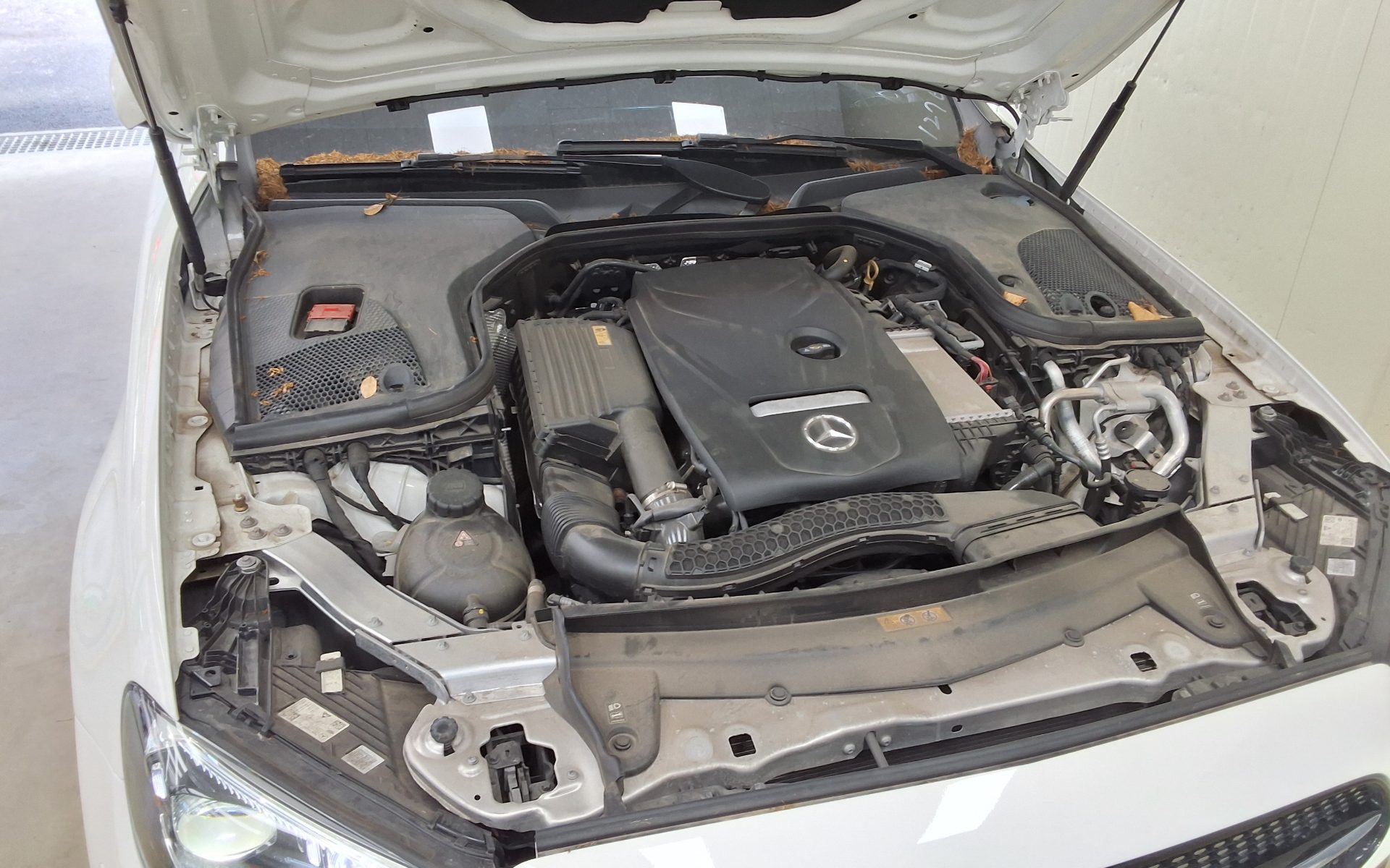 2023 - mercedes-benz e250