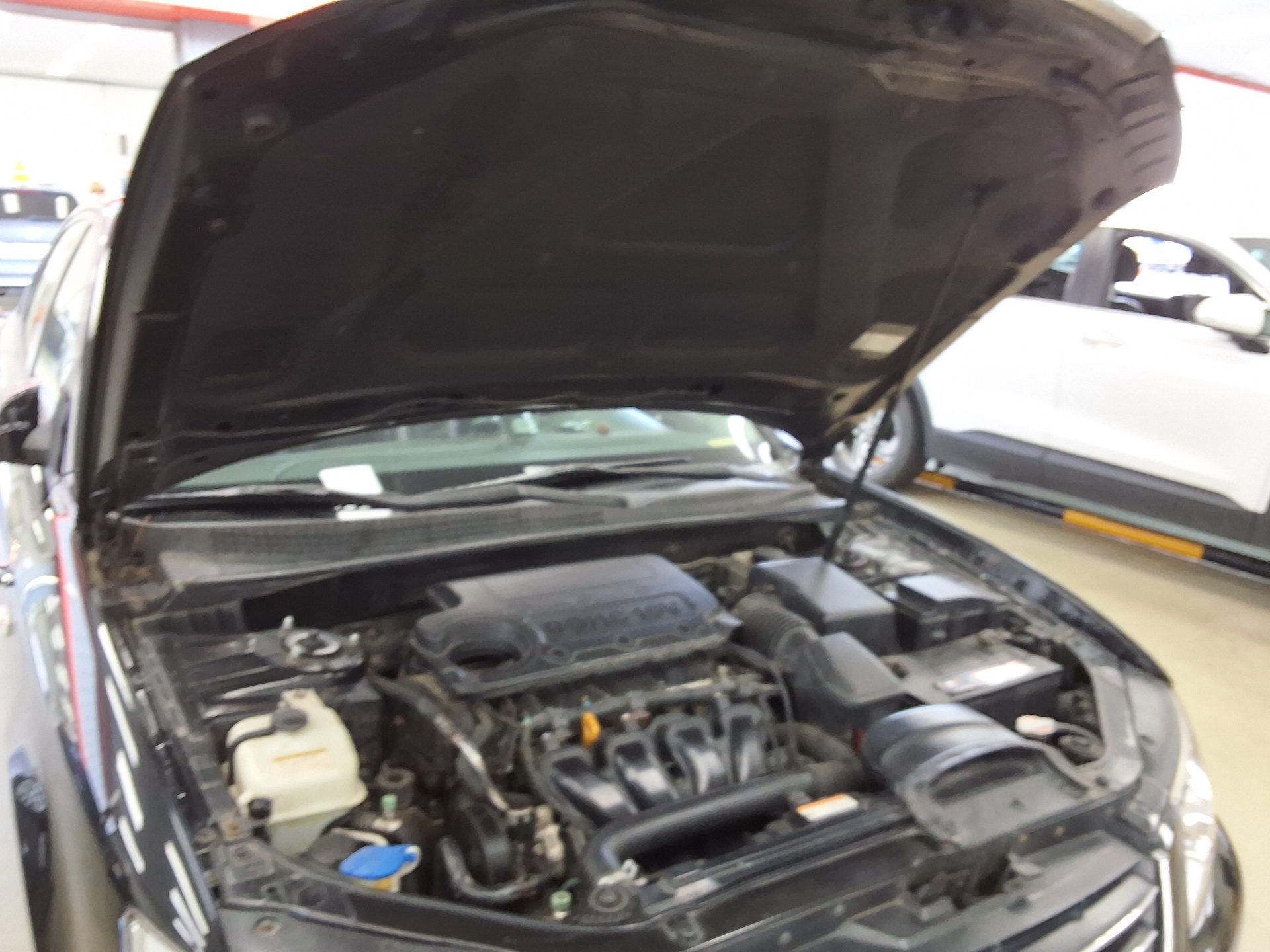 2009 - hyundai sonata