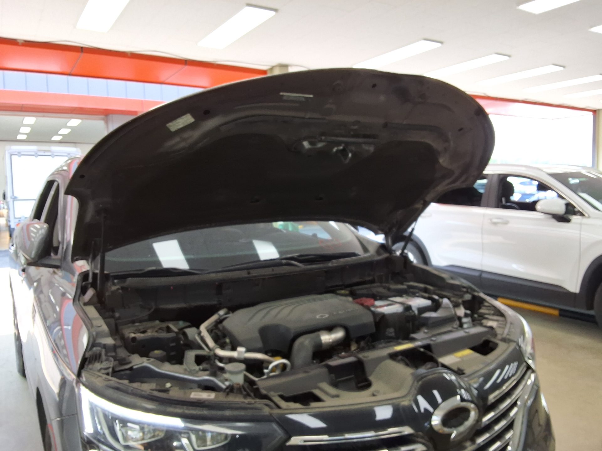 2017 - renault qm6