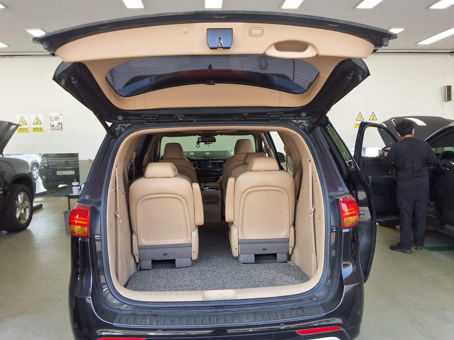 2018 - kia carnival