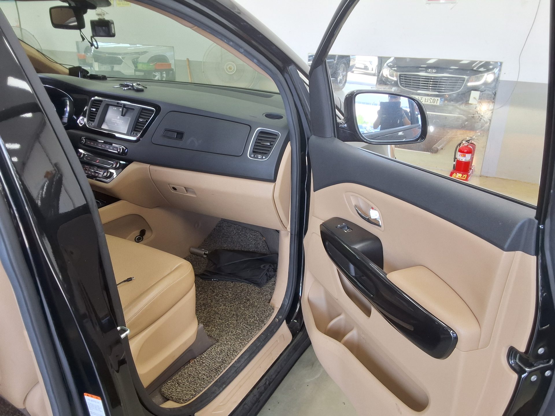 2018 - kia carnival