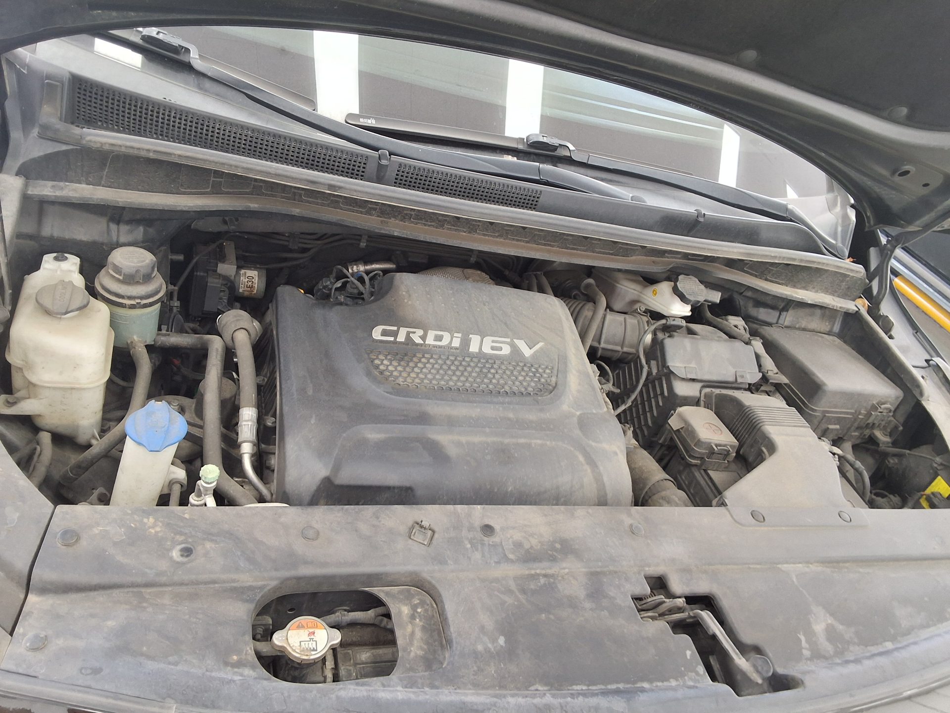 2018 - kia carnival