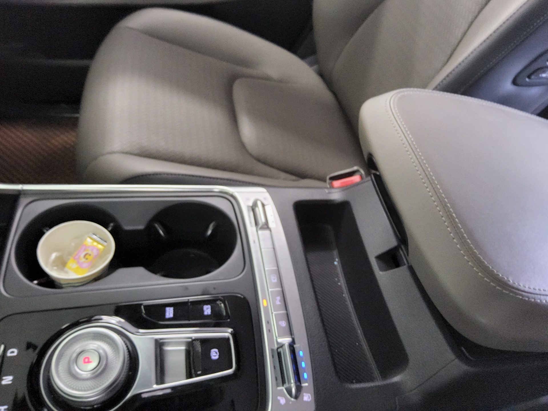 2024 - kia carnival