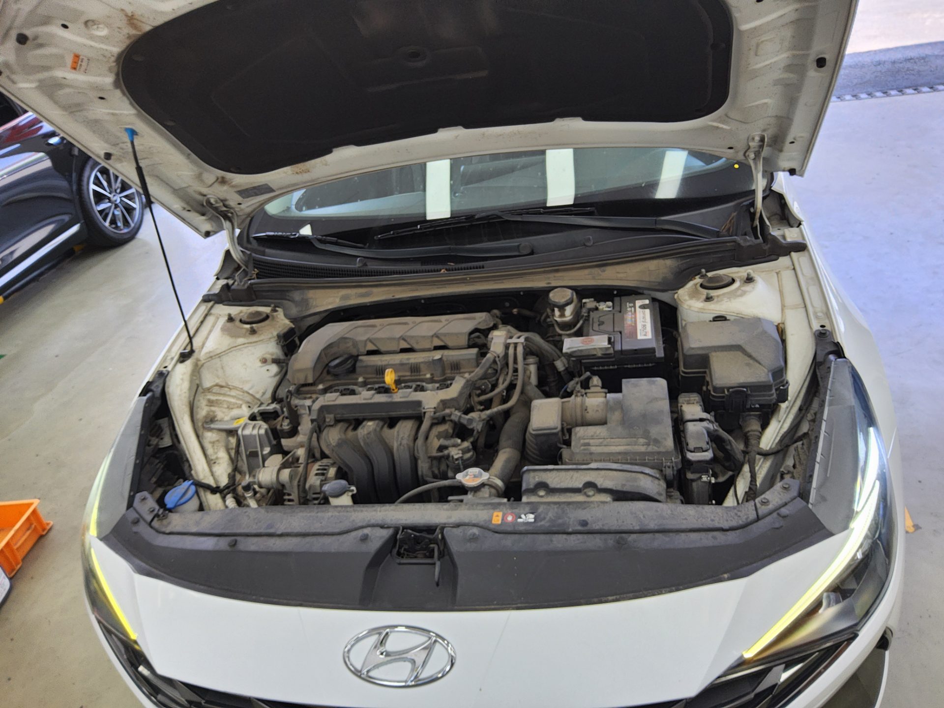 2021 - hyundai avante