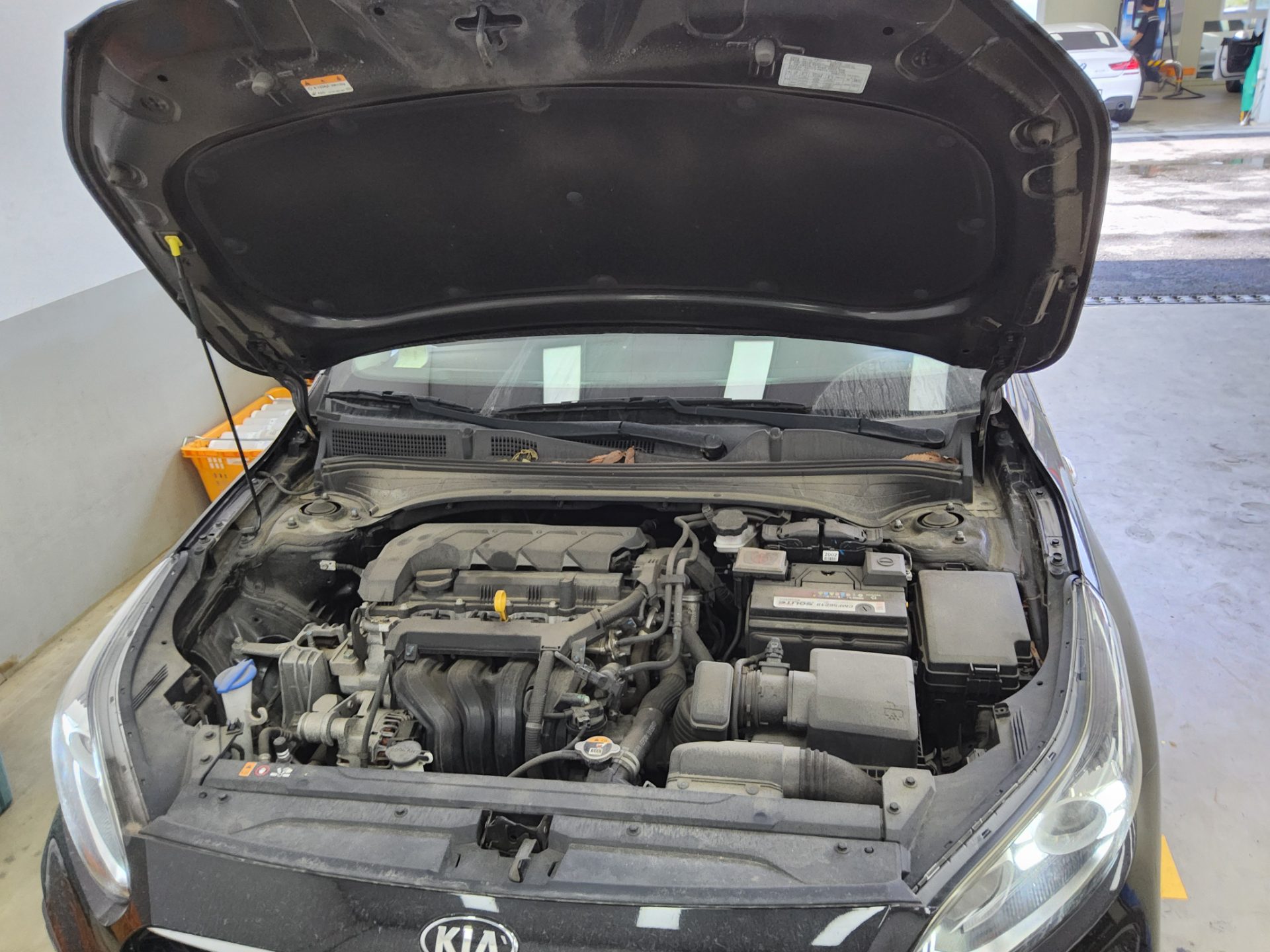 2021 - kia k3