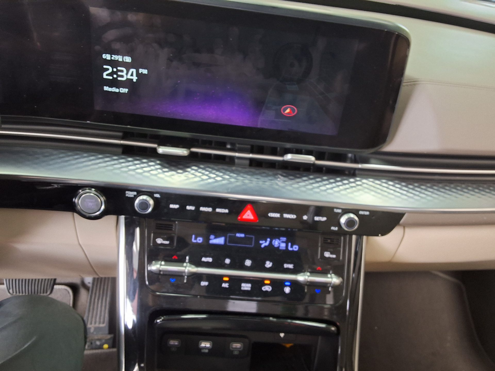 2021 - kia carnival