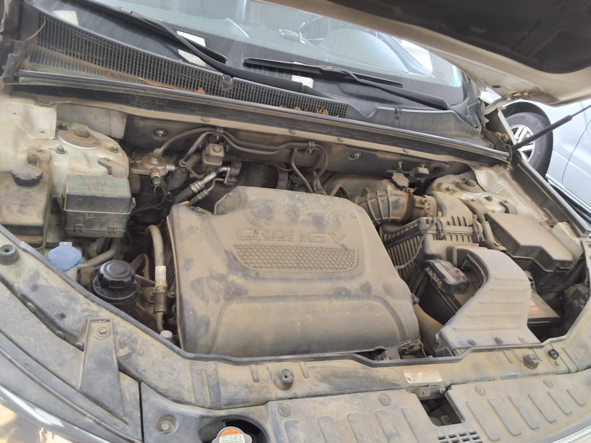 2011 - kia sorento
