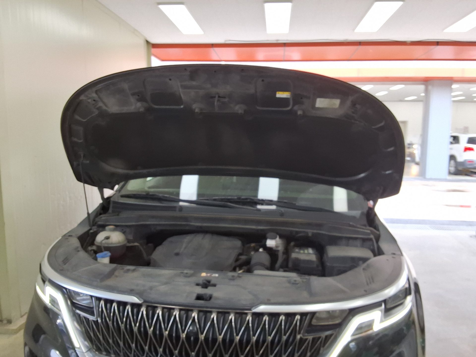 2021 - kia carnival
