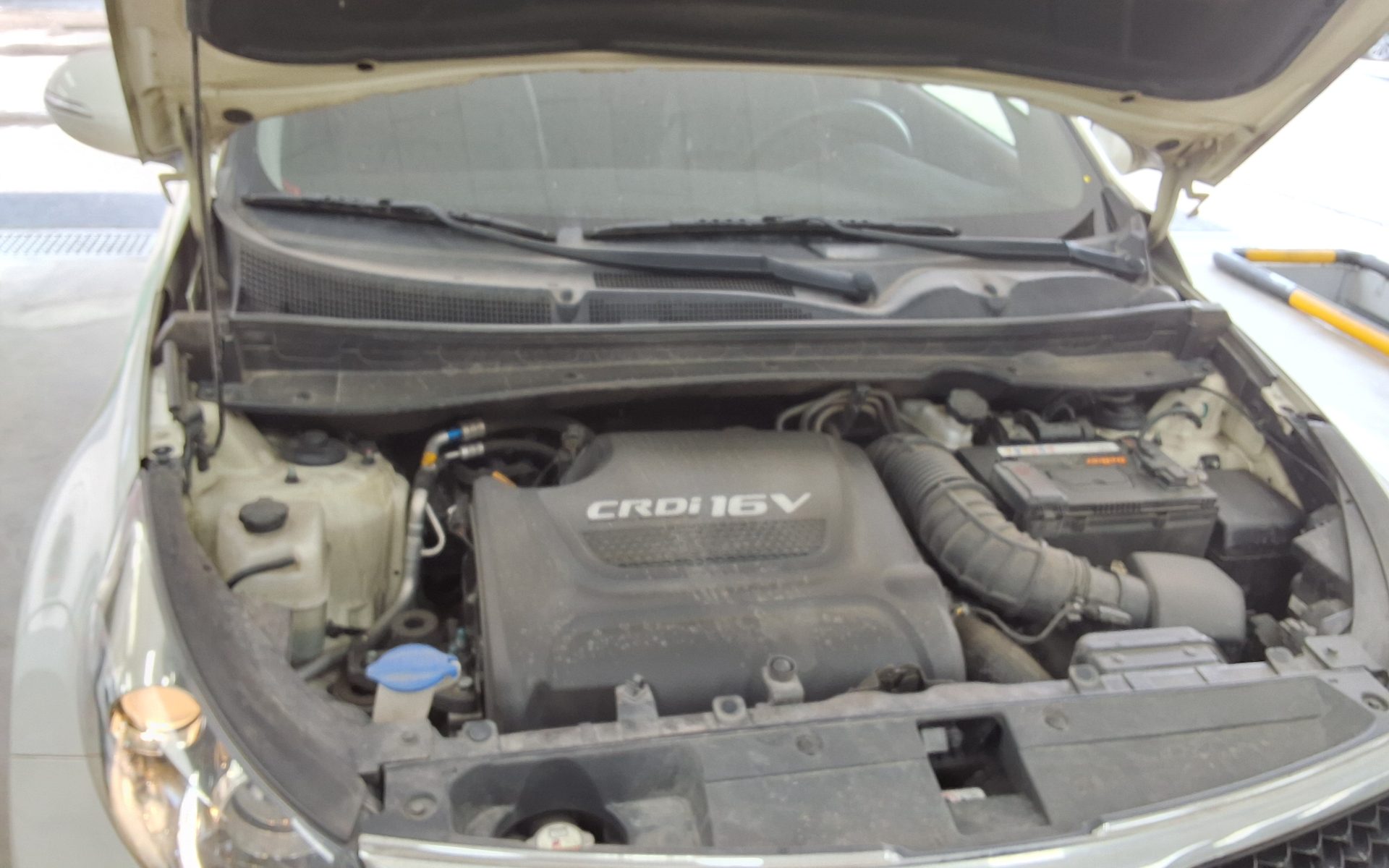 2014 - kia sportage