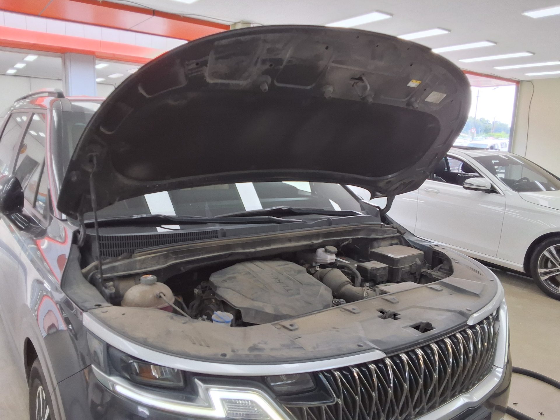 2021 - kia carnival