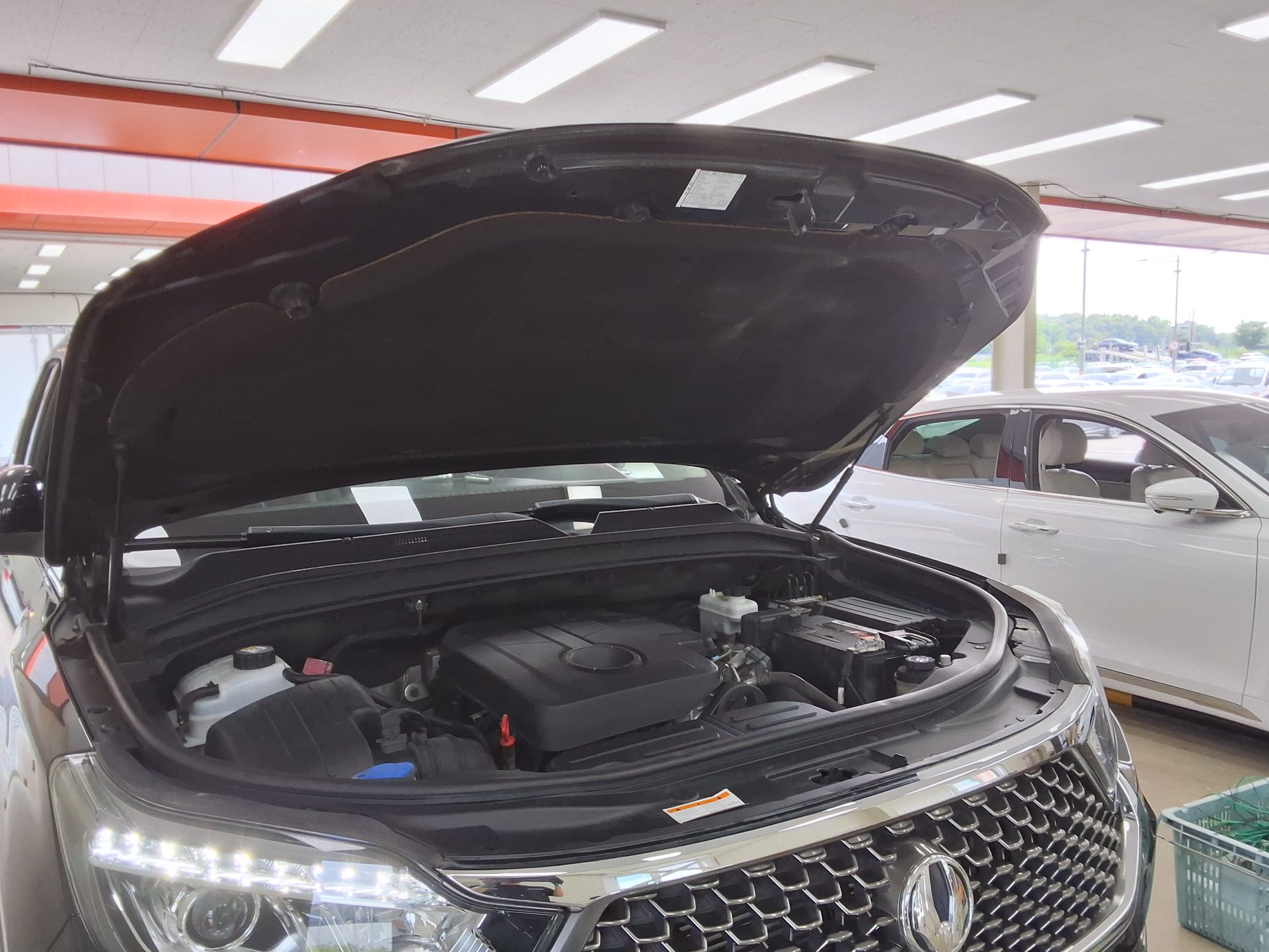 2020 - ssangyong rexton