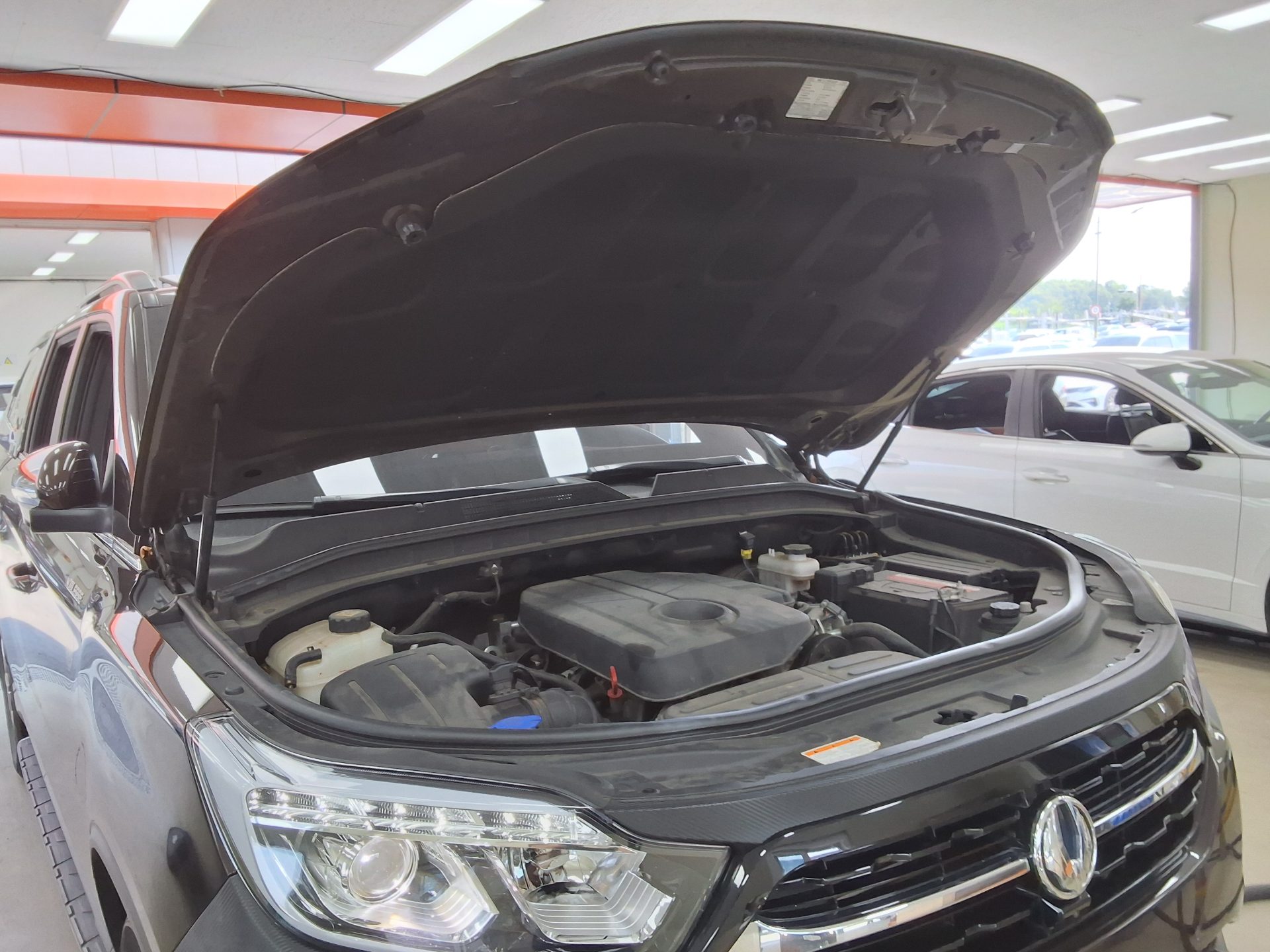 2019 - ssangyong rexton