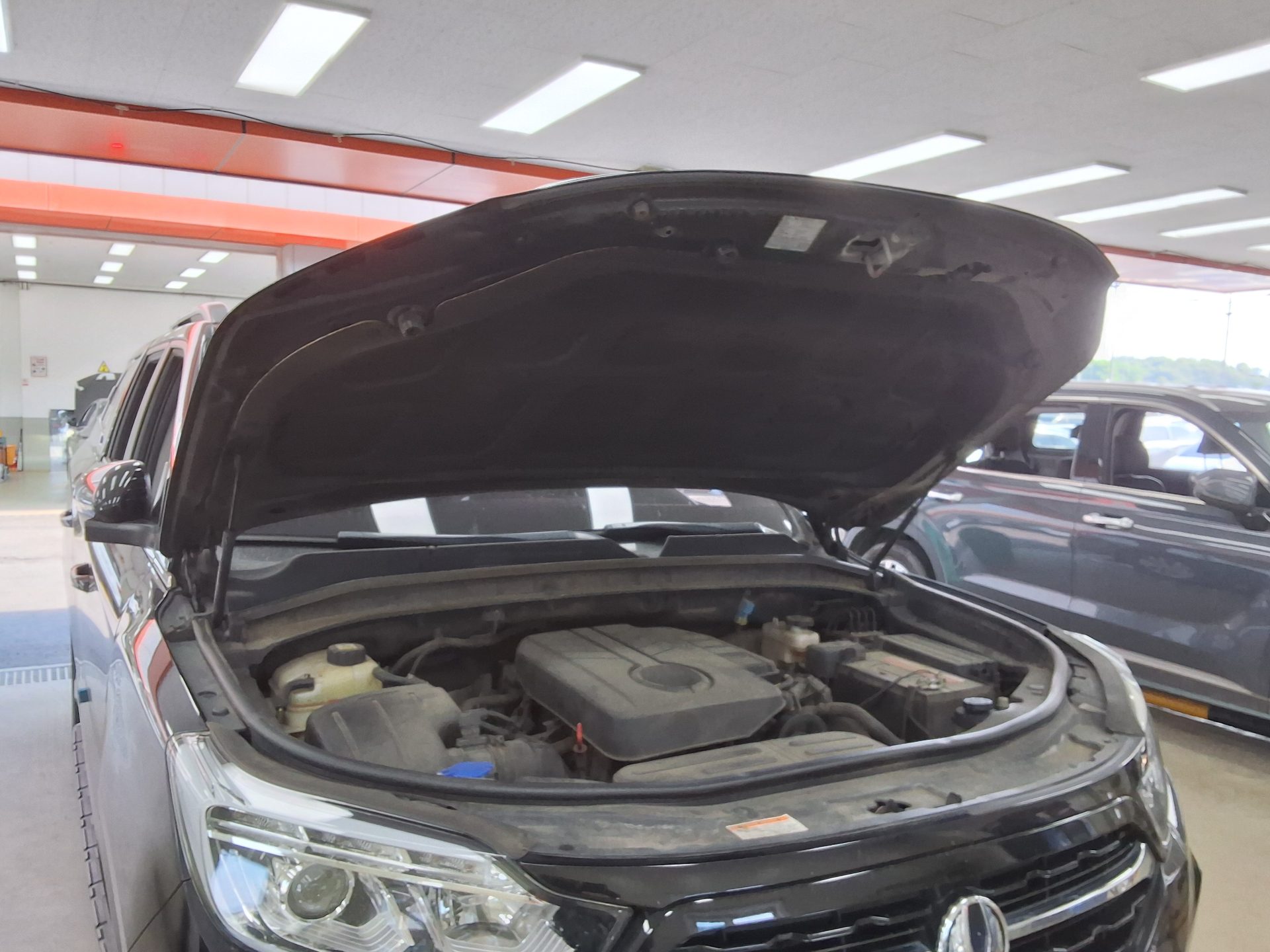 2019 - ssangyong rexton
