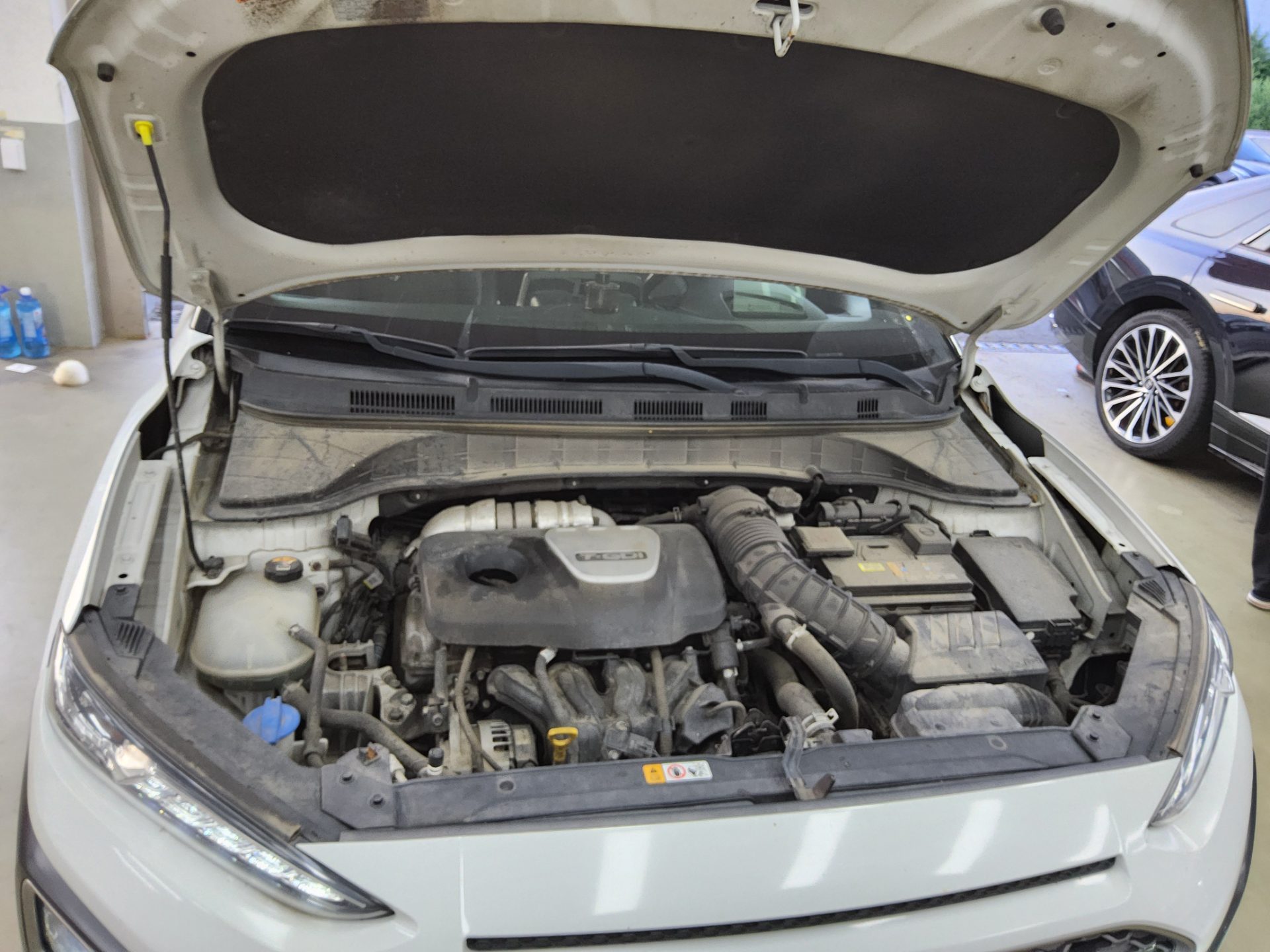 2018 - hyundai kona