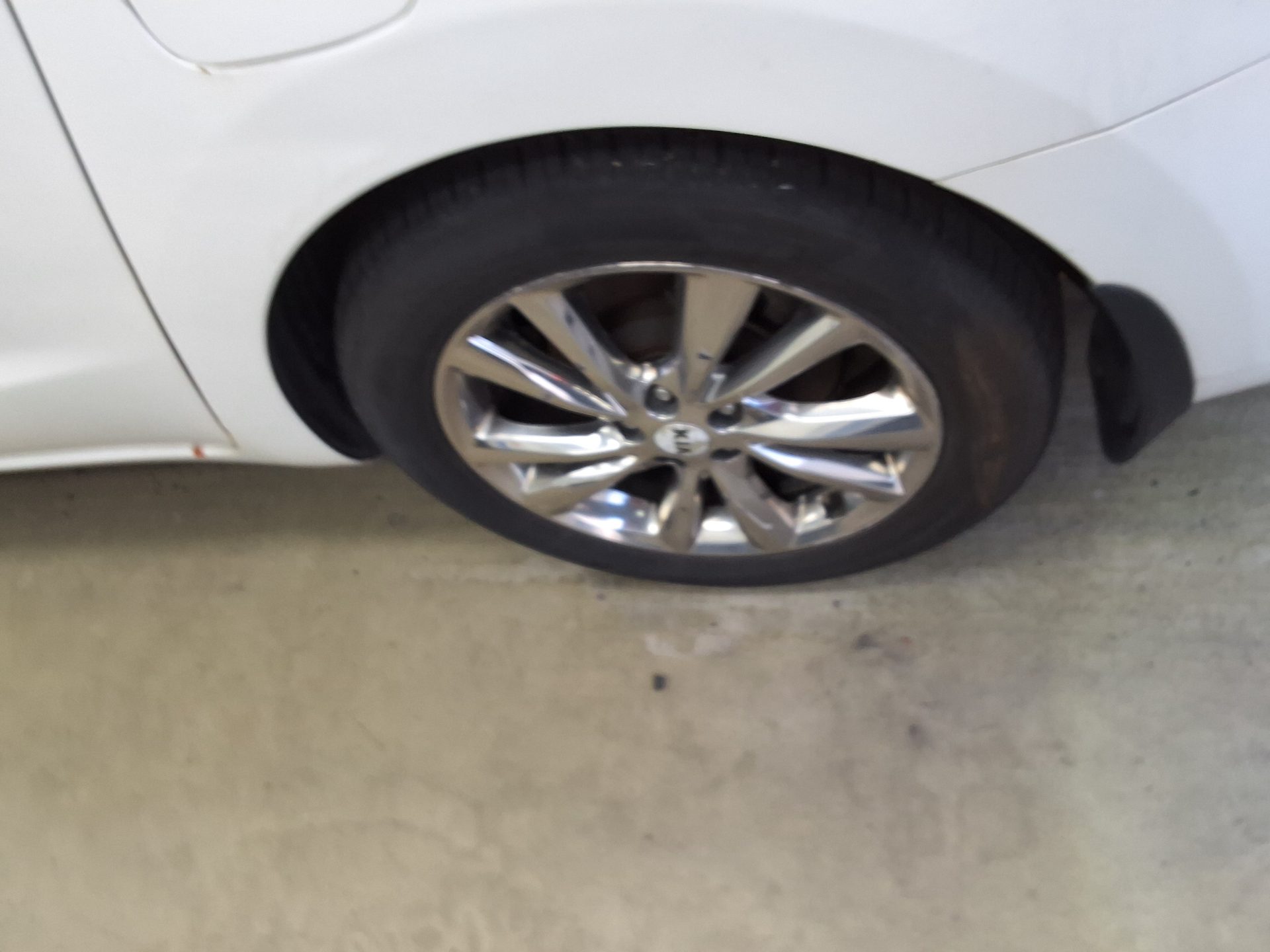 2019 - kia carnival