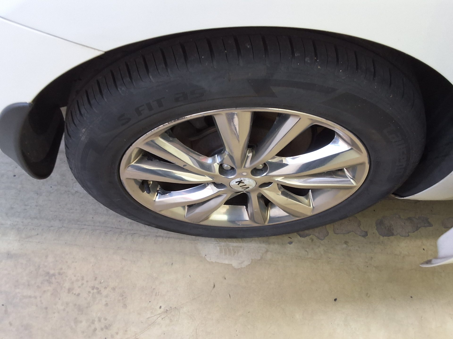 2019 - kia carnival