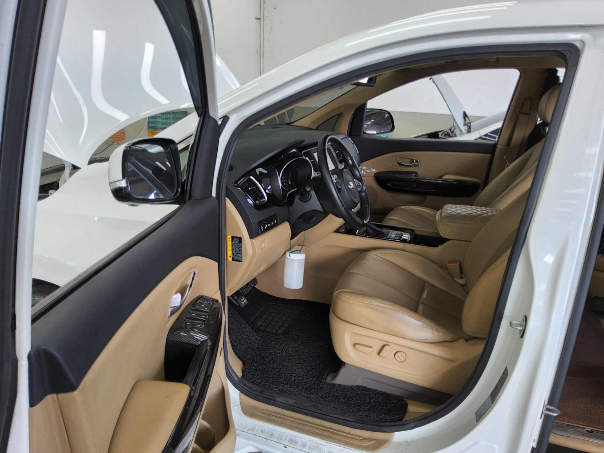 2015 - kia carnival