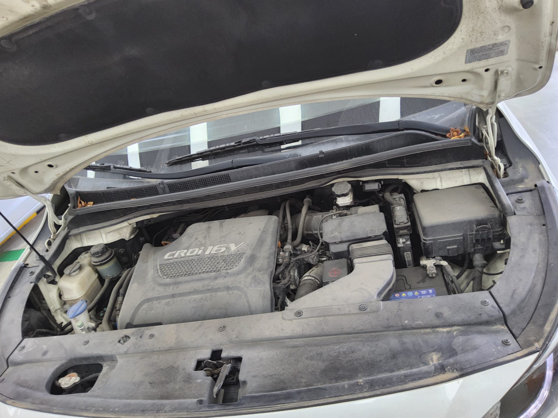 2015 - kia carnival