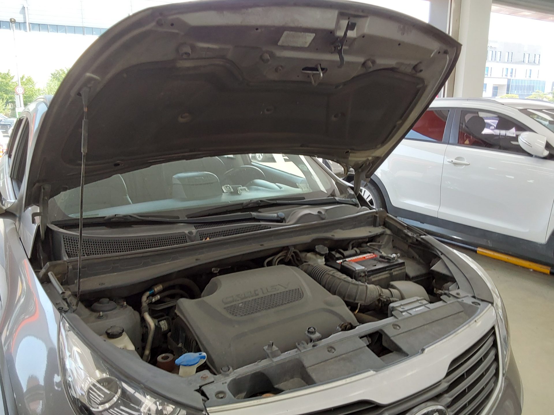 2011 - kia sportage