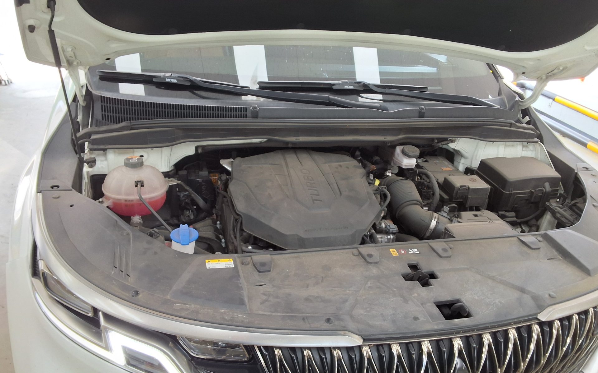 2023 - kia carnival