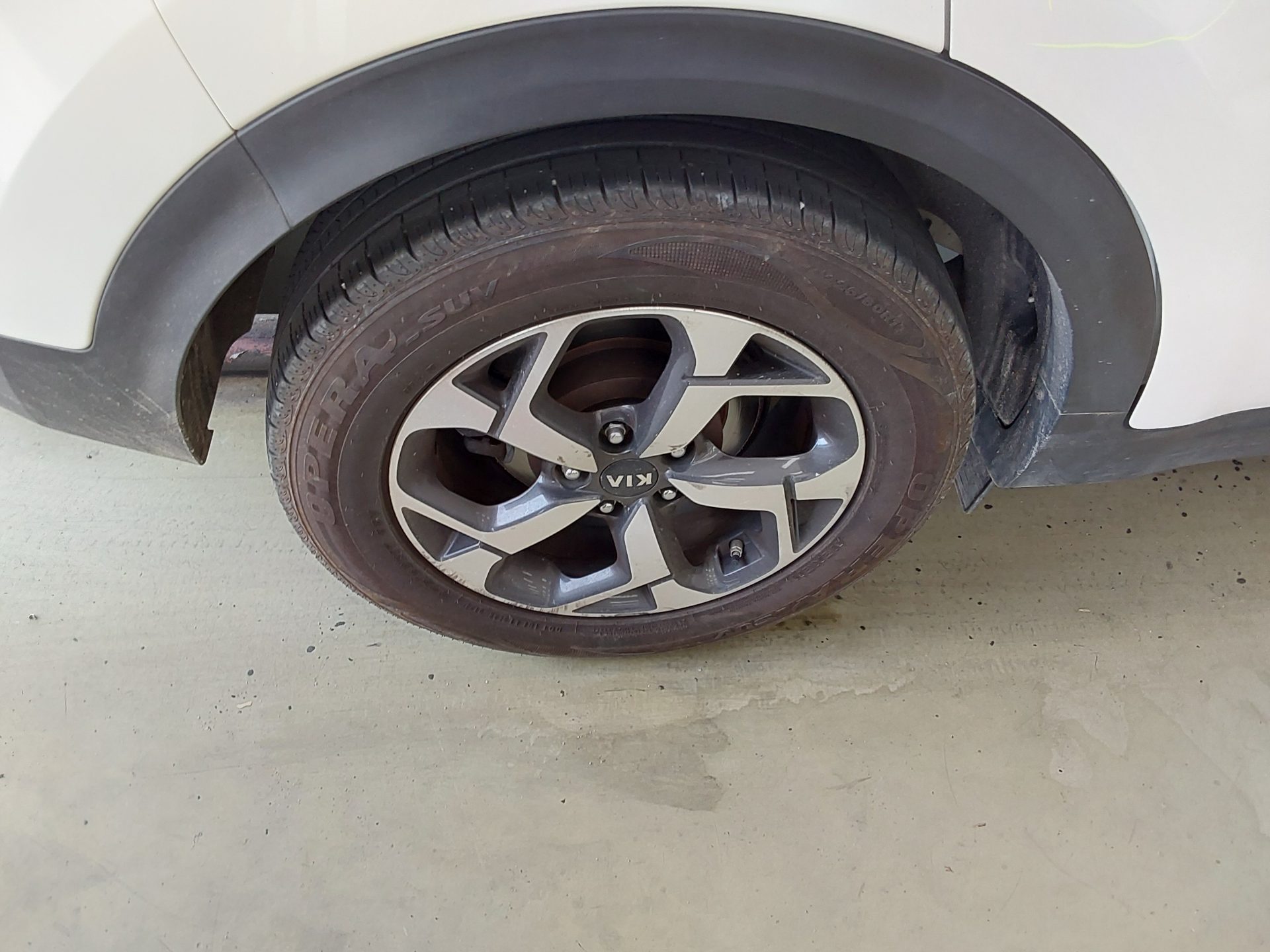 2019 - kia sportage