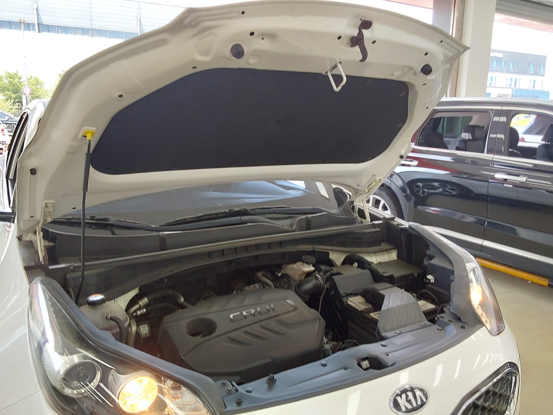 2019 - kia sportage