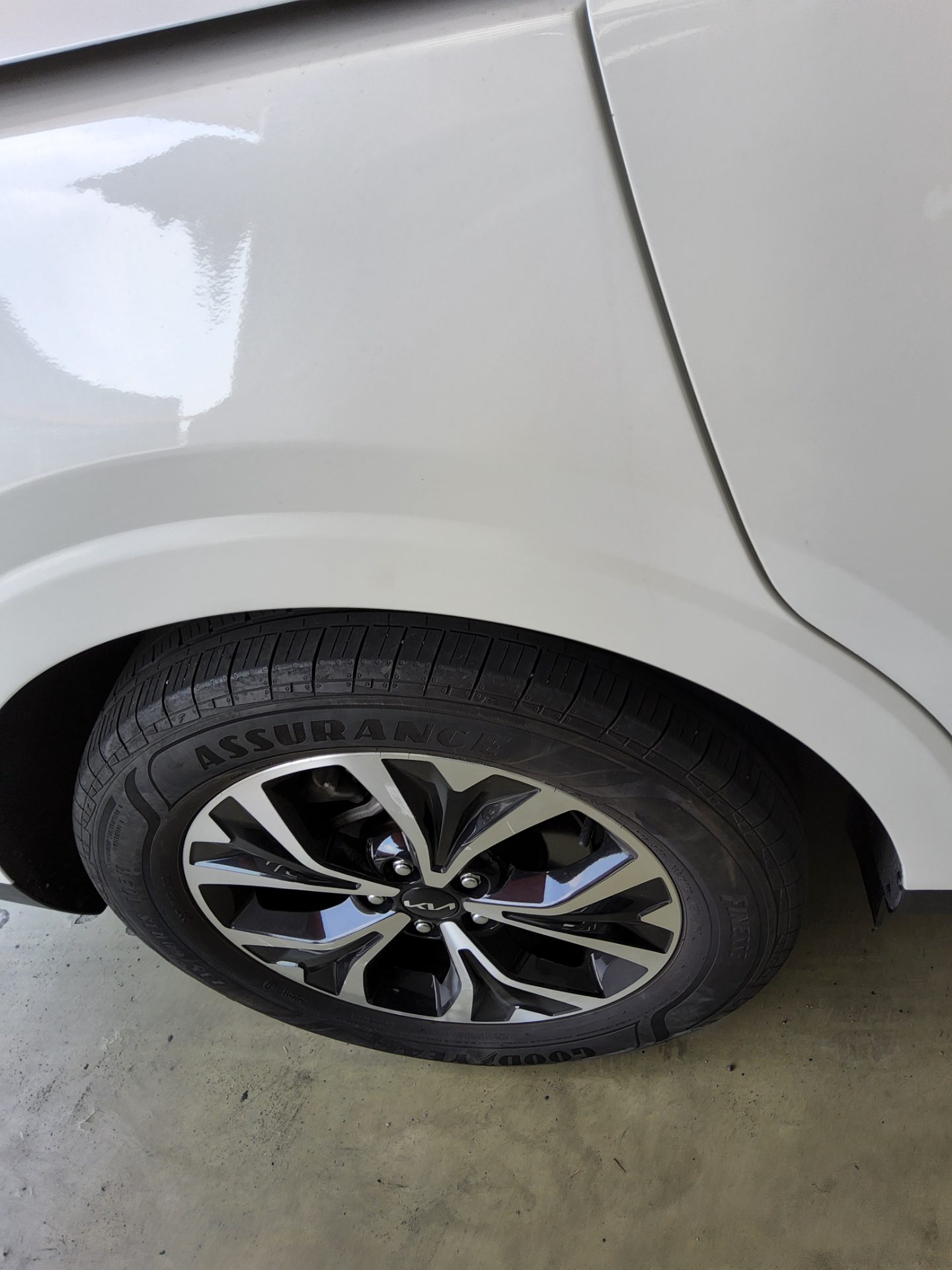 2023 - kia carnival