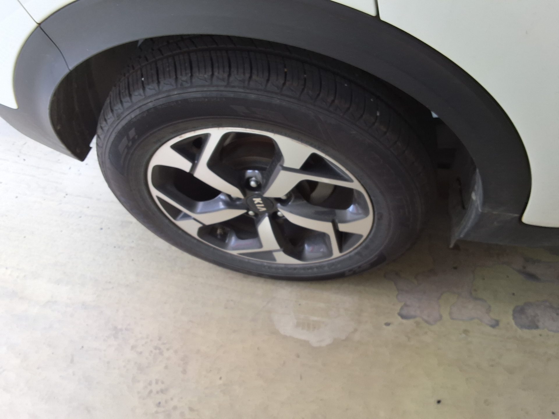 2019 - kia sportage