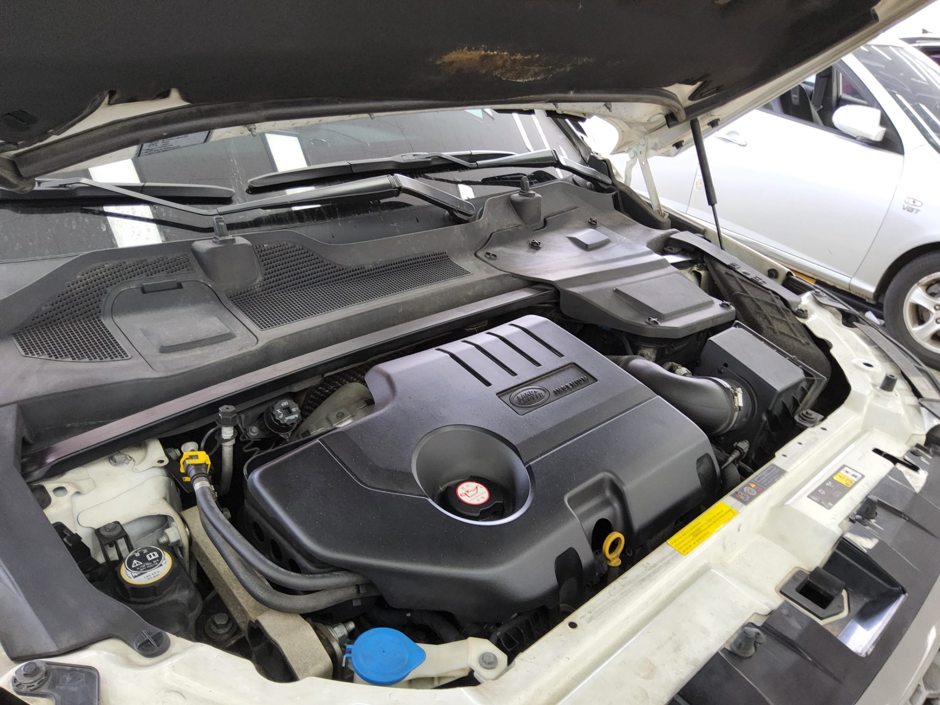 2019 - land rover discovery
