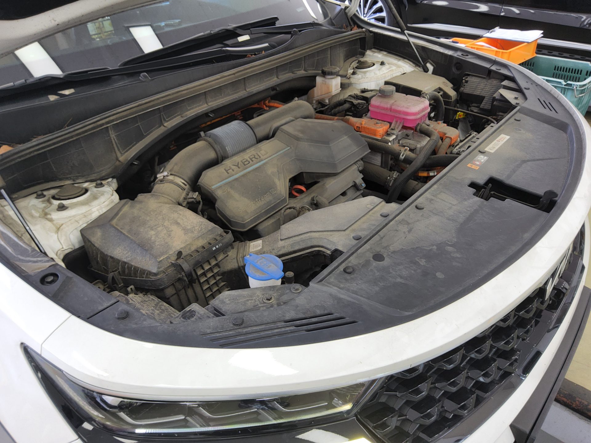 2023 - kia sorento