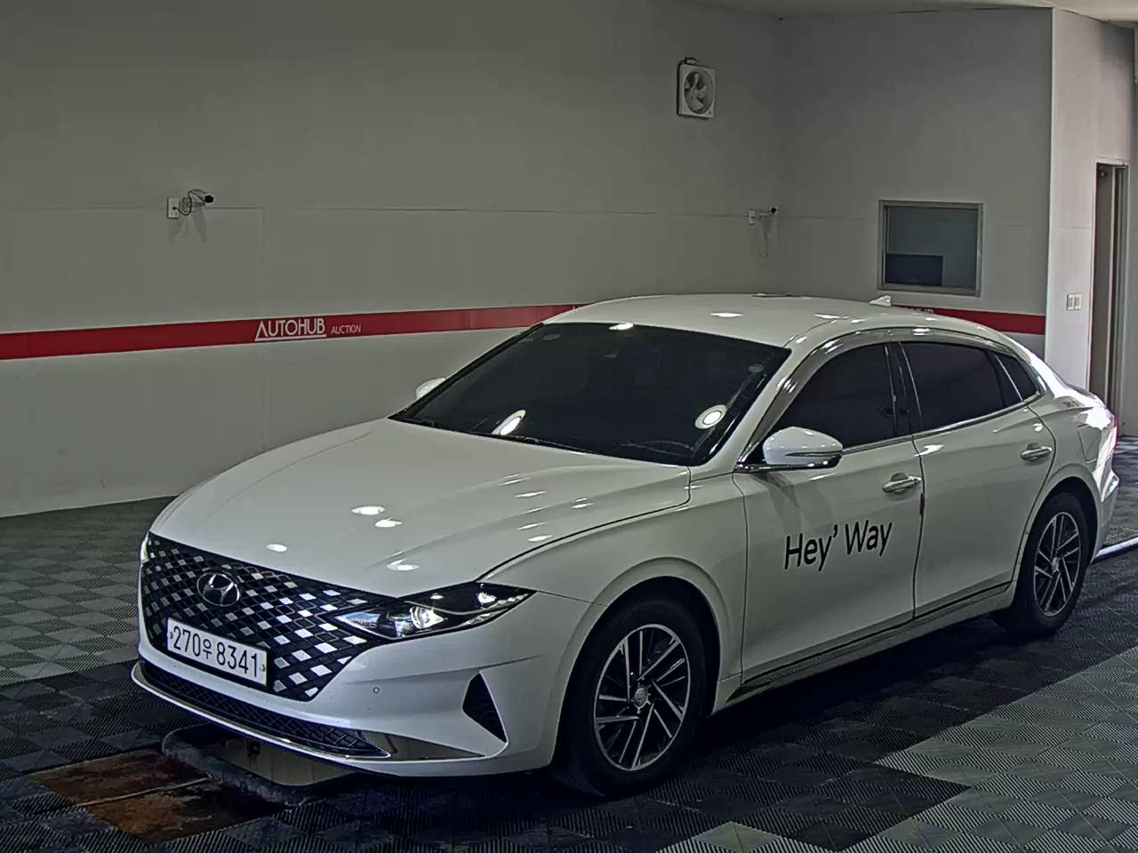 HYUNDAI GRANDEUR LPi BUSINESS MODEL