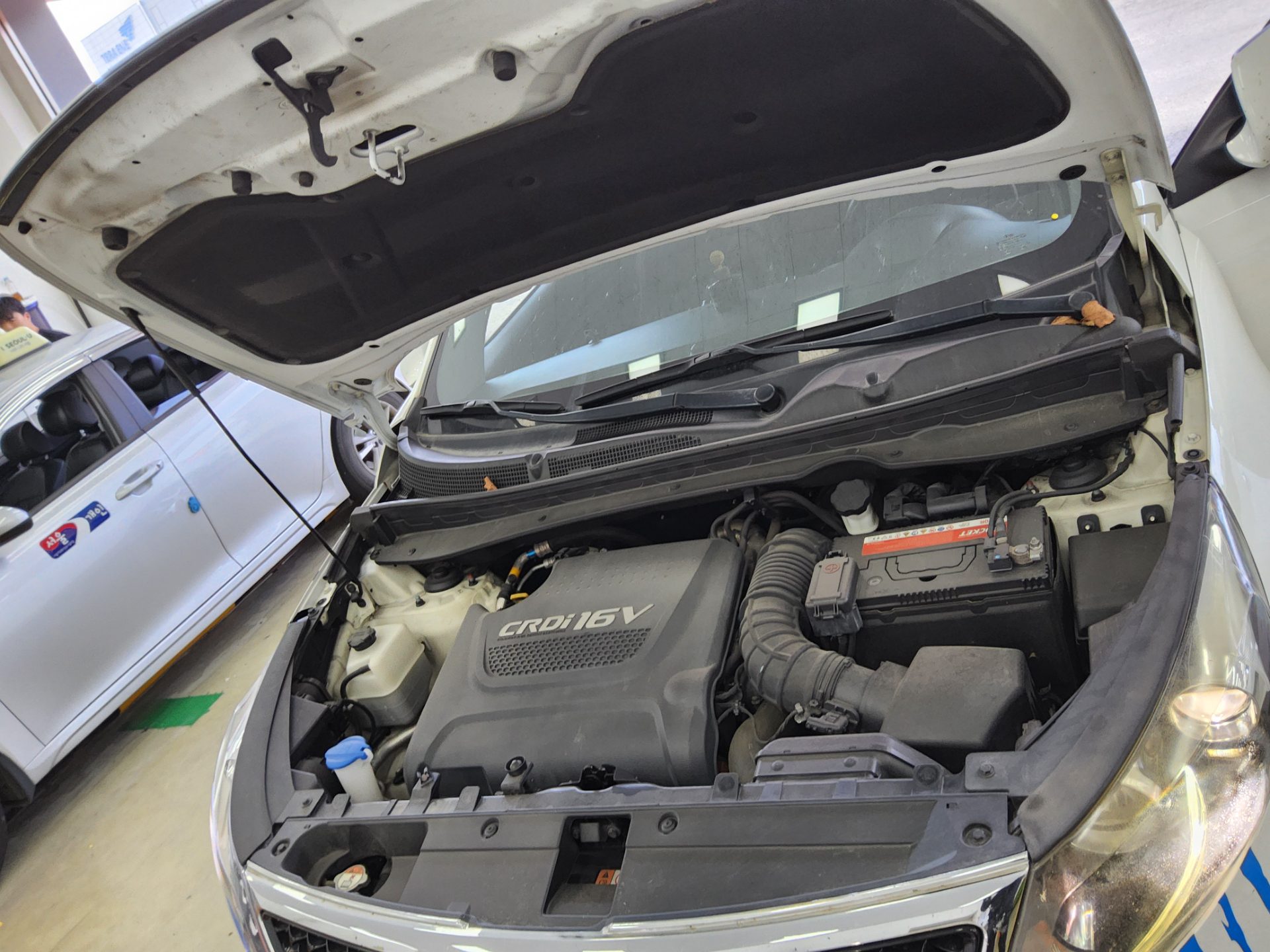 2014 - kia sportage