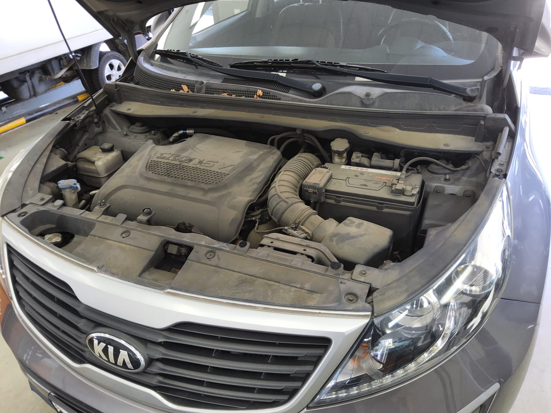 2013 - kia sportage