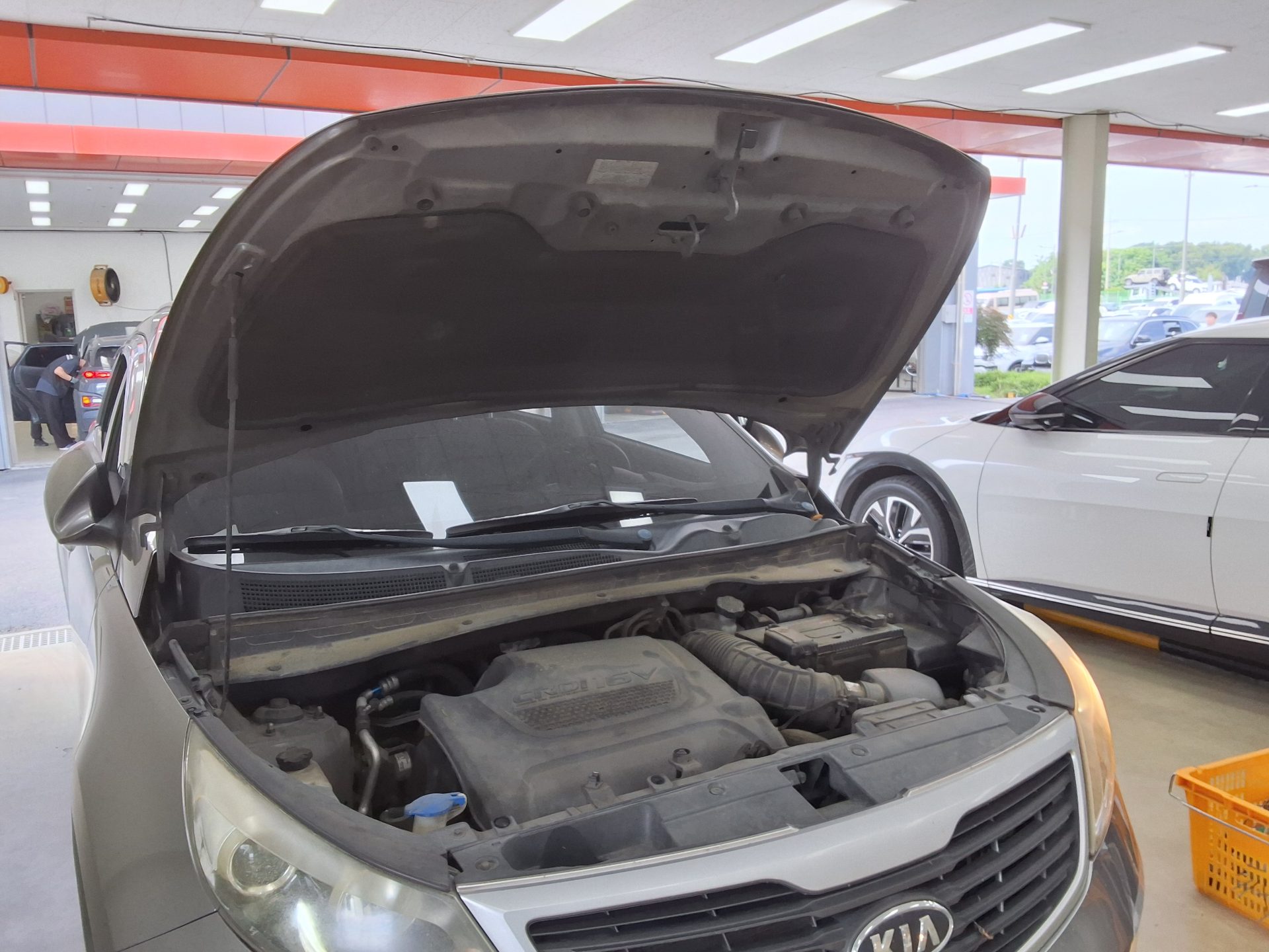2011 - kia sportage