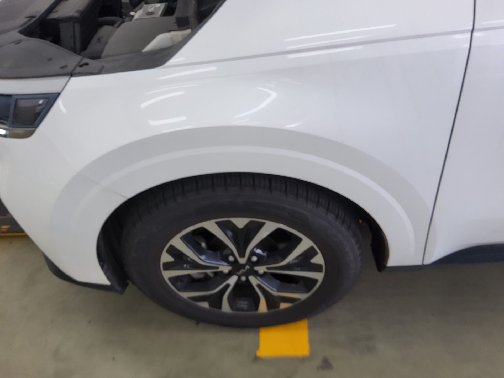 2023 - kia carnival
