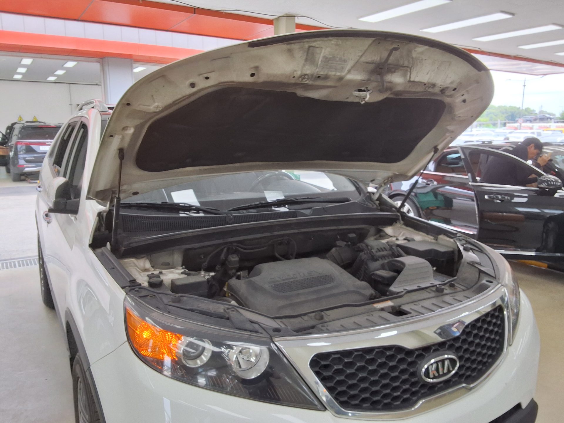 2010 - kia sorento