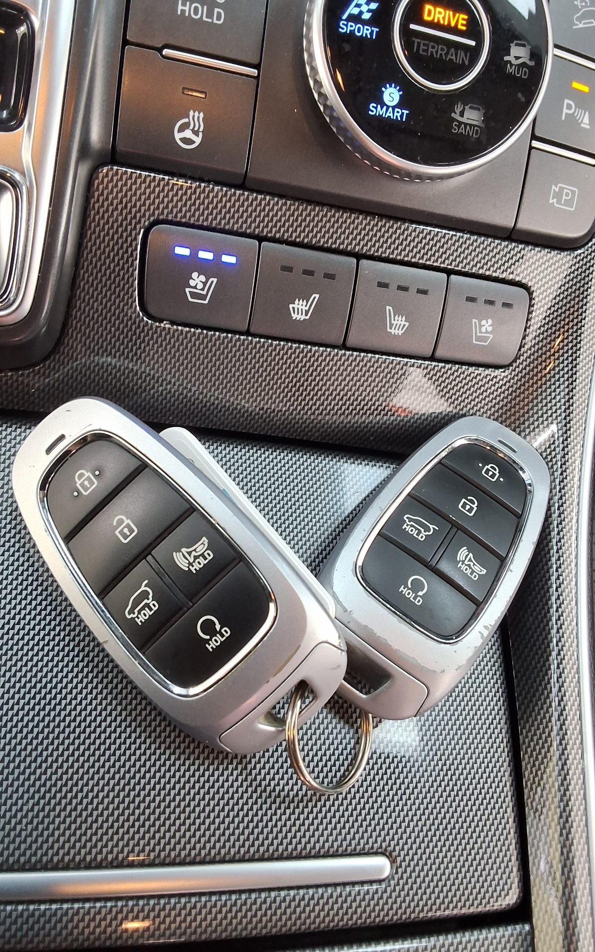 2022 - hyundai santa fe