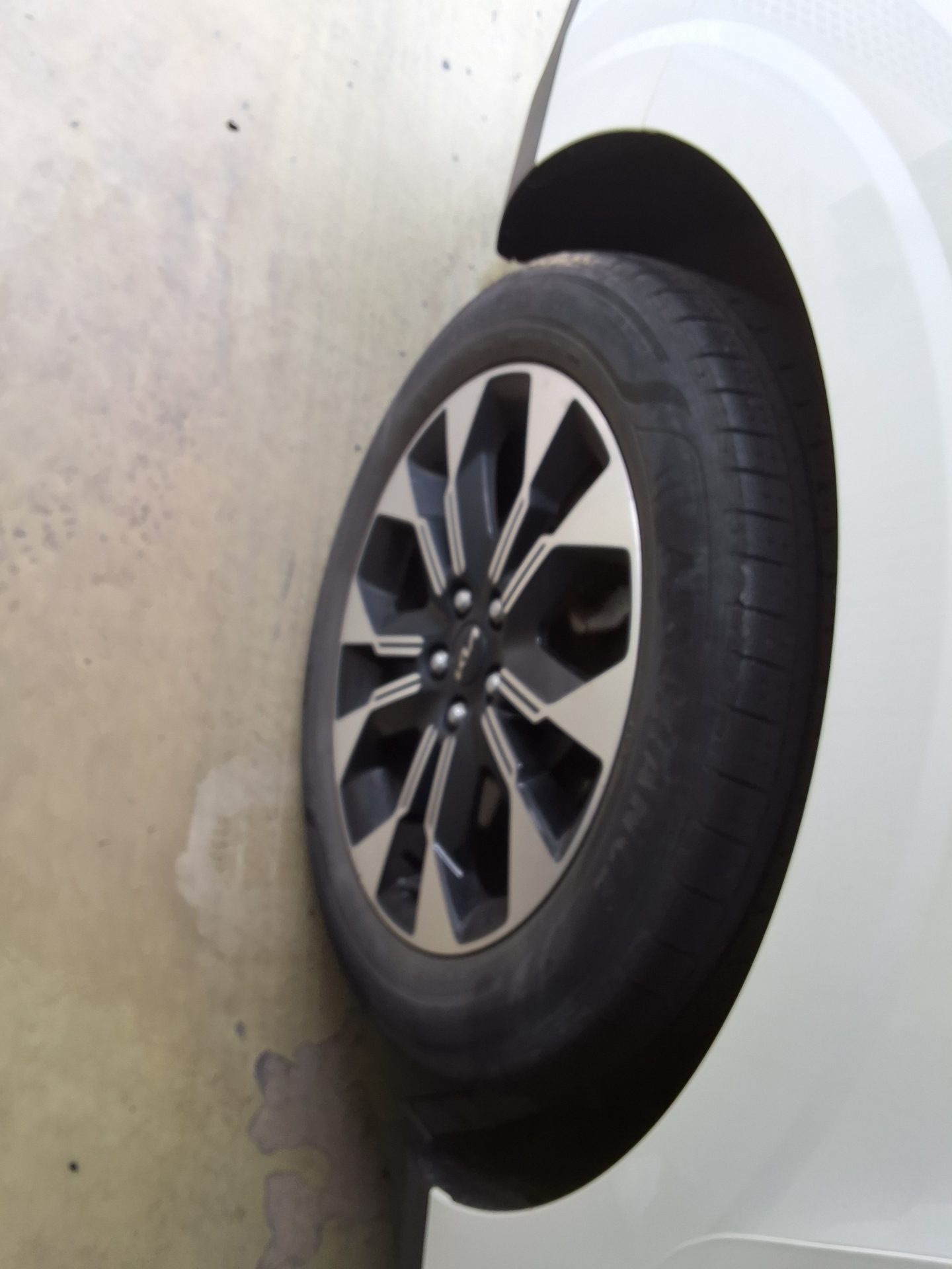 2023 - kia carnival