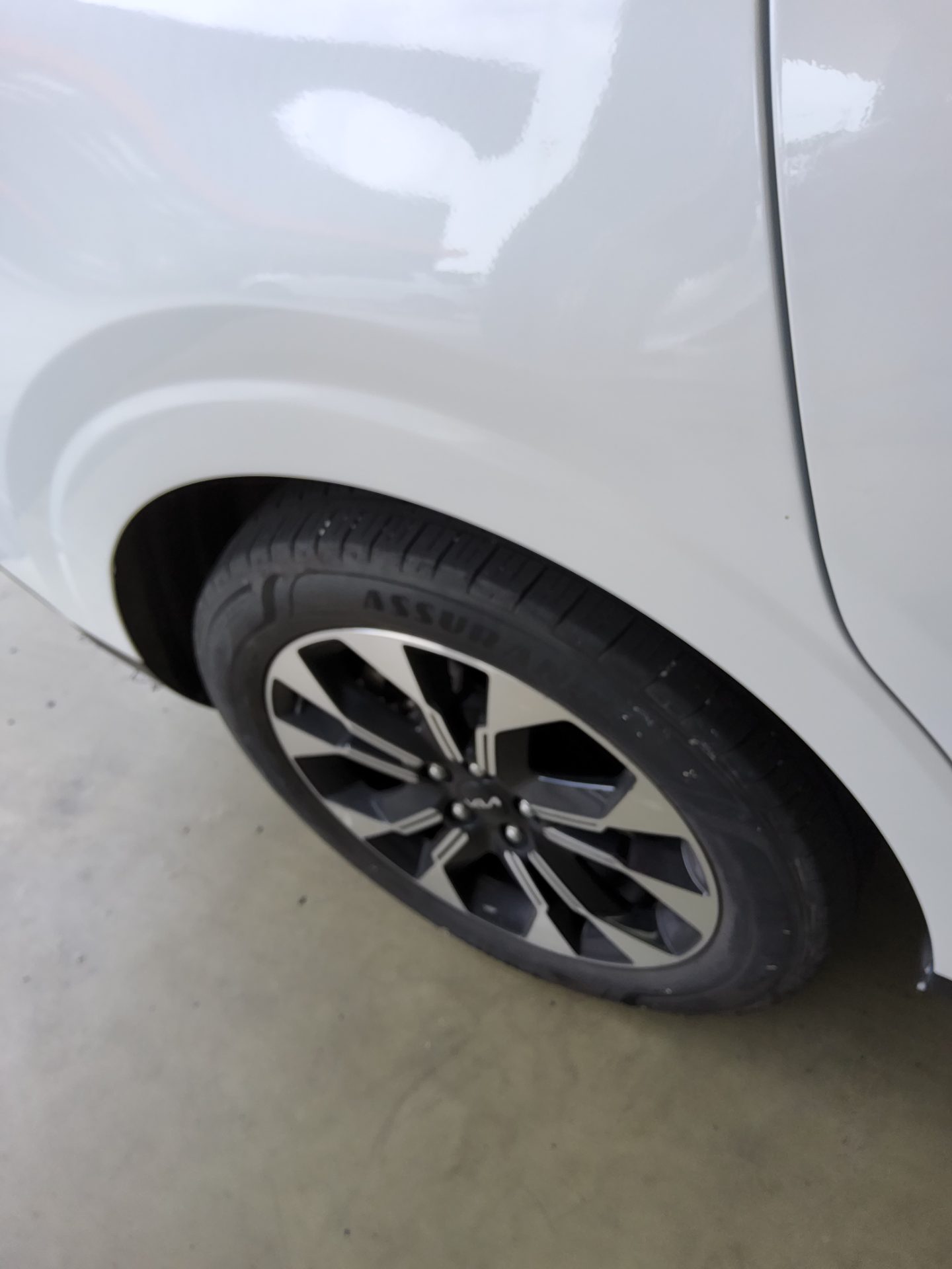 2023 - kia carnival