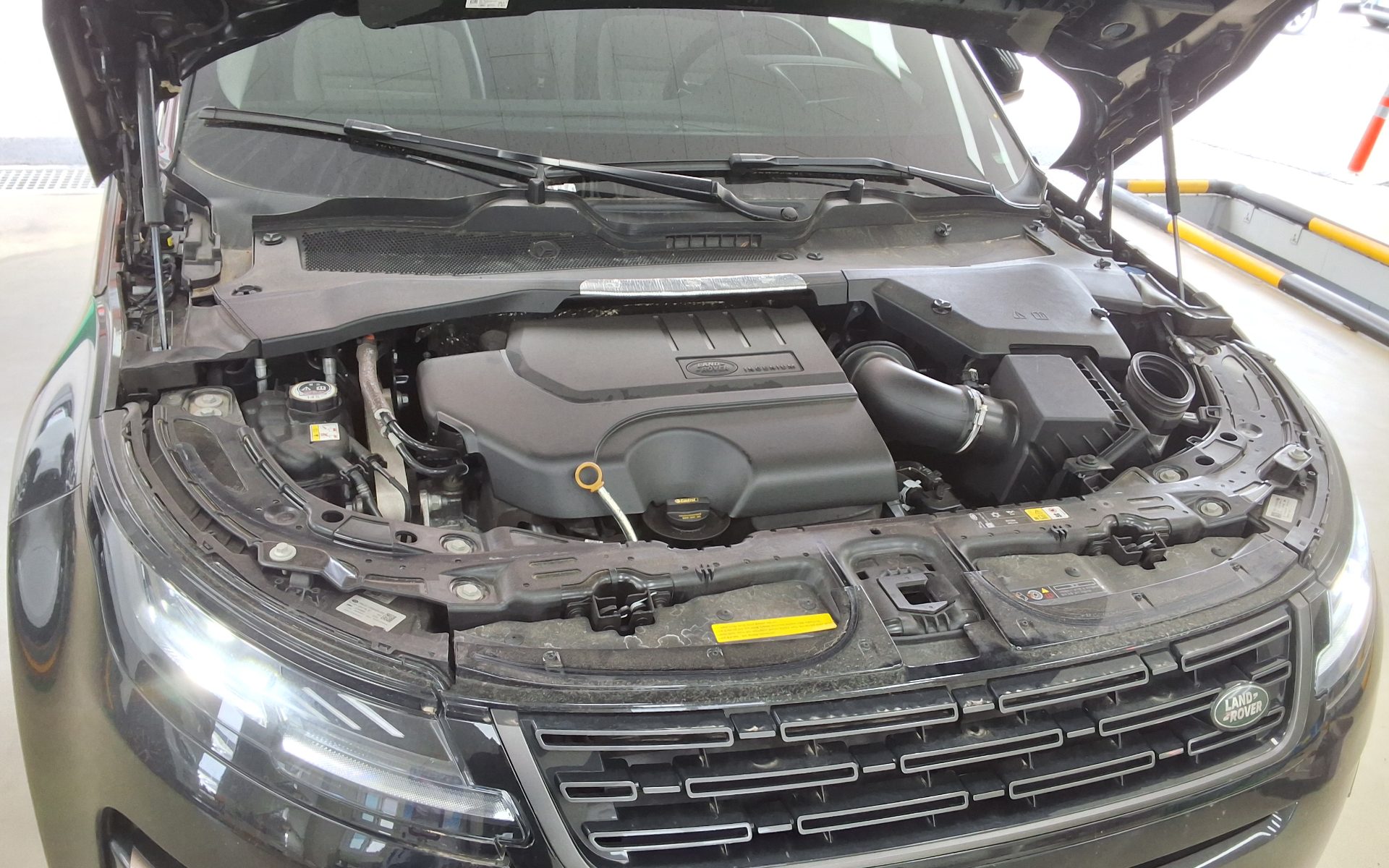 2025 - land rover range rover