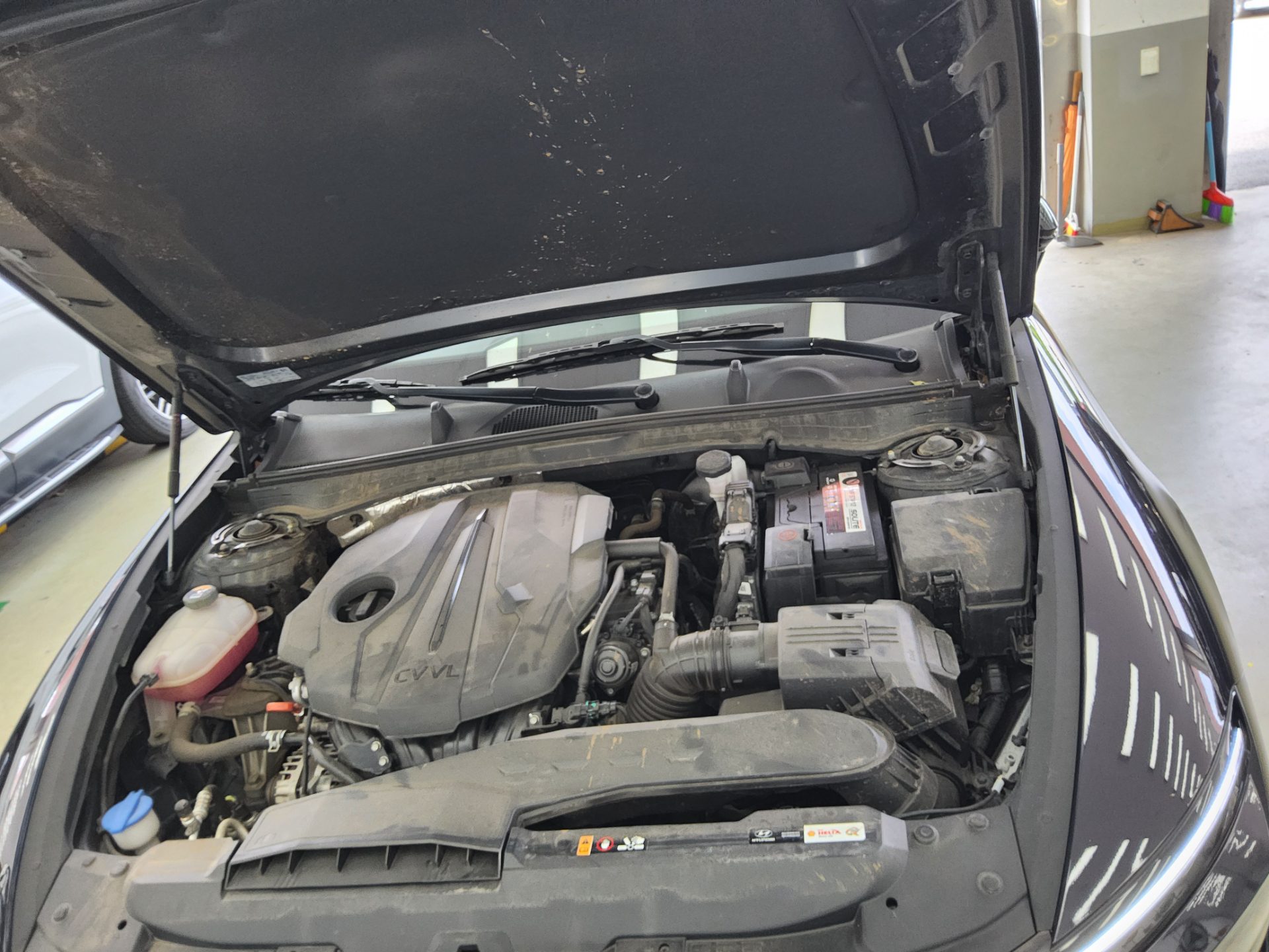 2024 - hyundai sonata