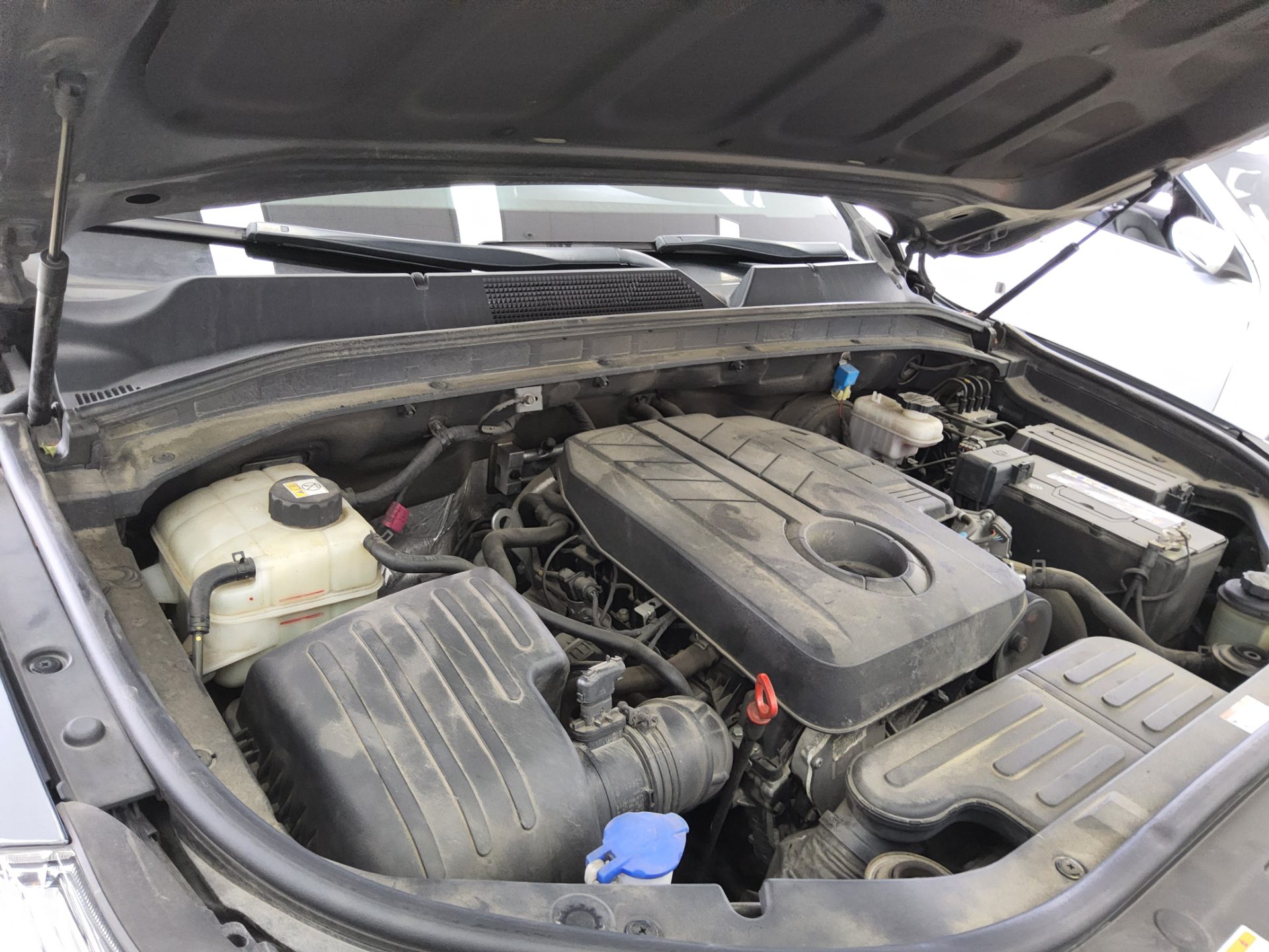 2021 - ssangyong rexton