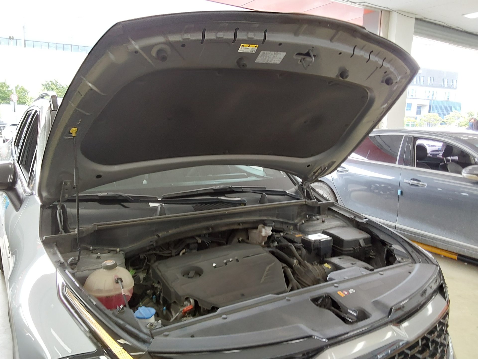 2024 - kia sportage