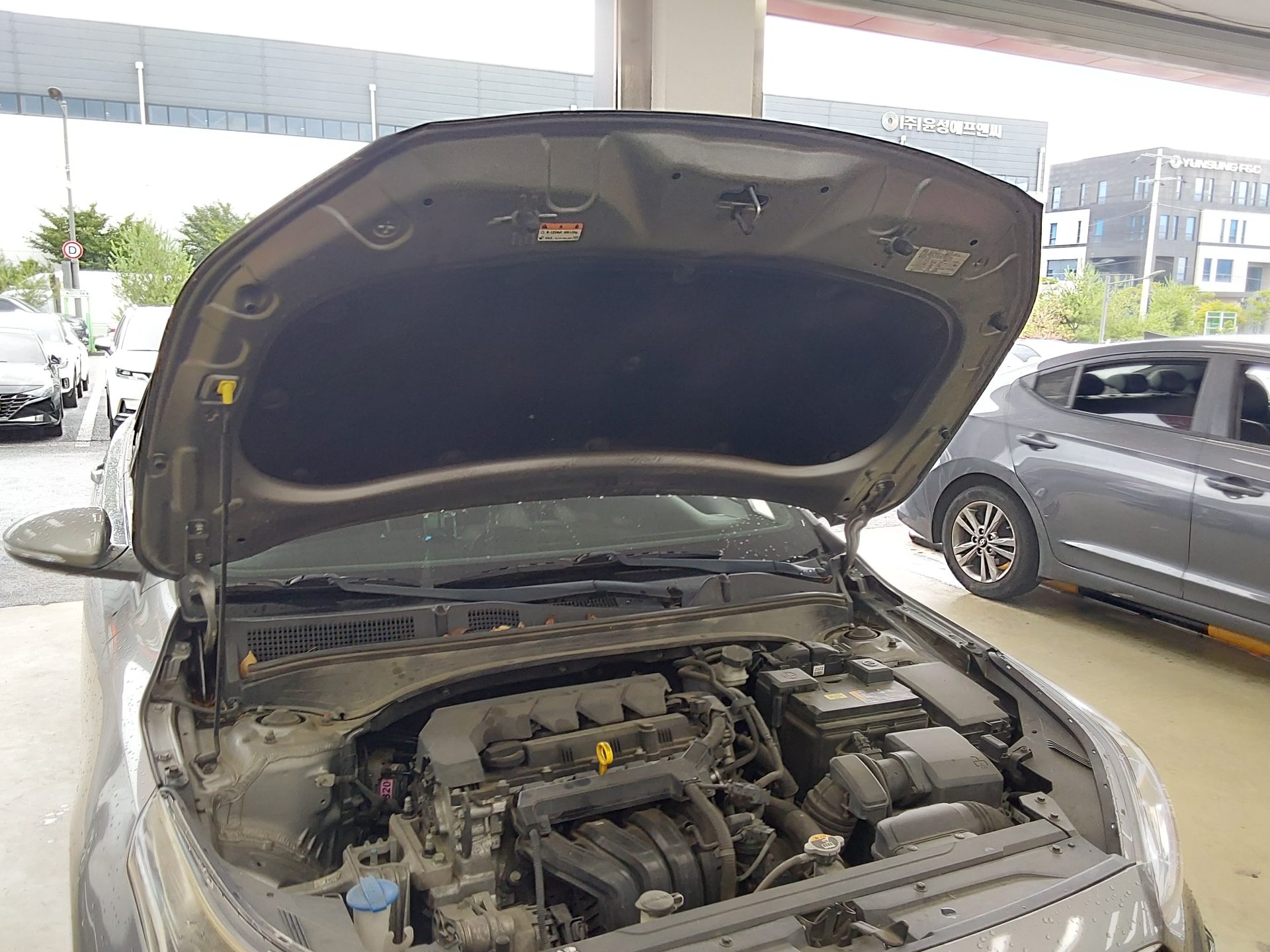 2019 - kia k3